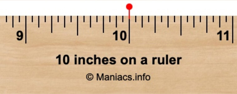 10inPrince cover image
