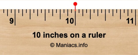 10inPrince cover image