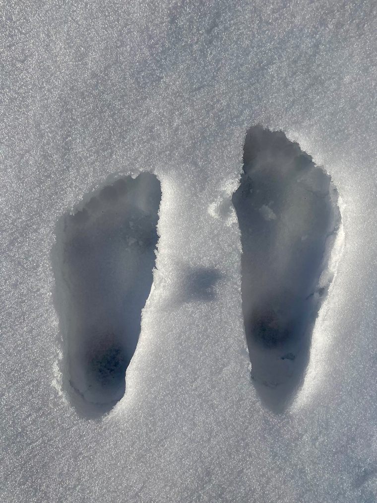 12Toes cover image