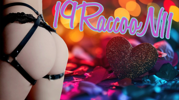 19RaccooN11 banner image