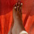 WILD FEET avatar