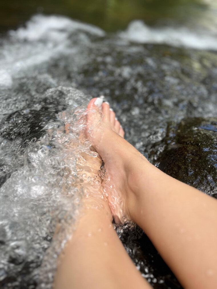 WILD FEET cover image