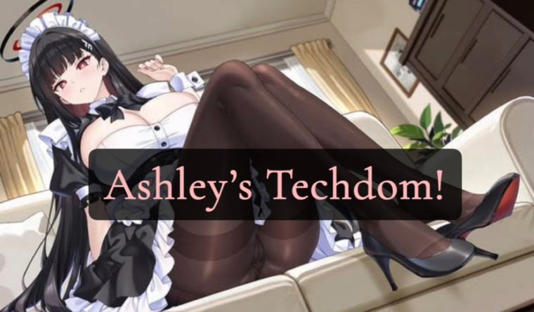 2DfdTechAshley banner image