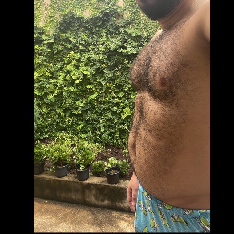 Dois Ursos cover image