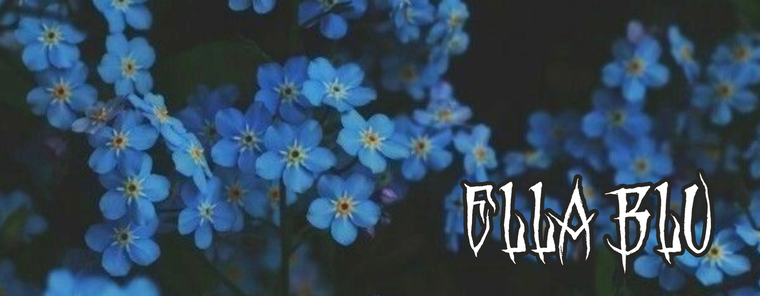 Ella Blu banner image