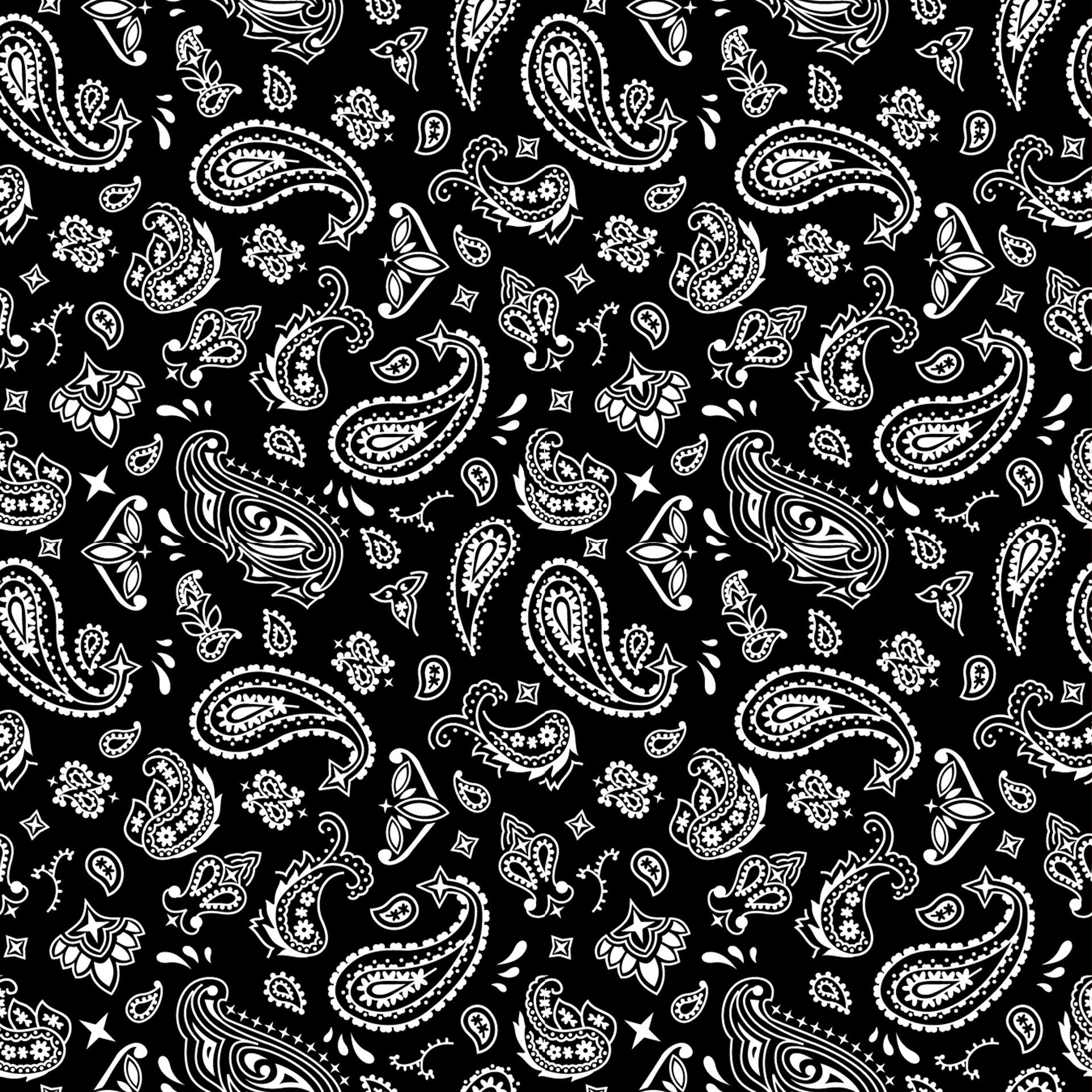 Lady404 banner image