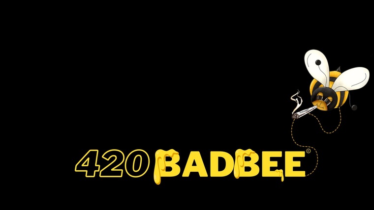 420badbee cover image