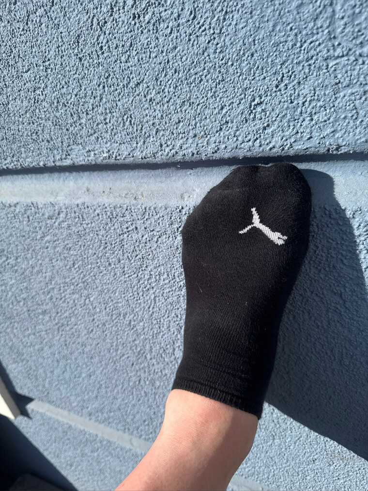 50toesforhoes banner image
