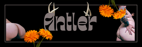 Antler cover image