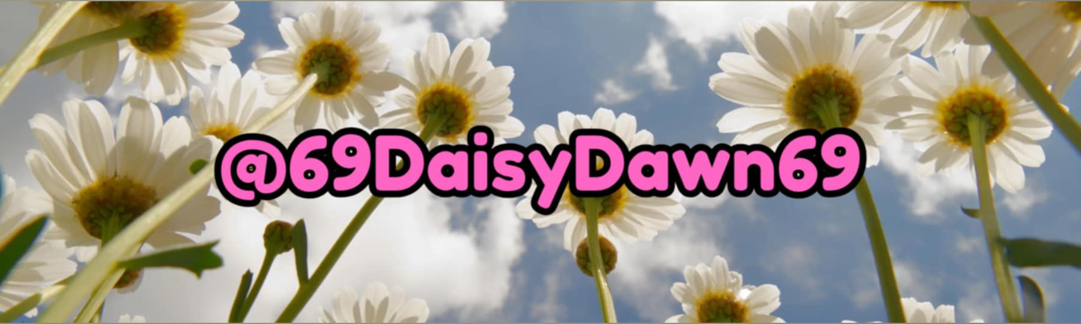 69DaisyDawn69 banner image