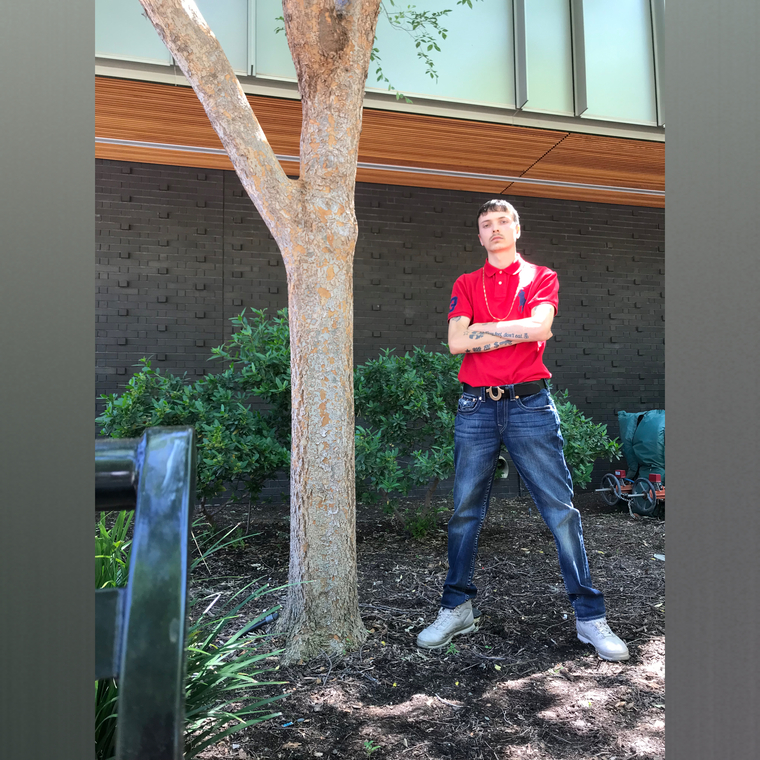 ༼ つ ◕_◕ ༽つ    Cali Boy      ひ cover image