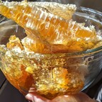 HoneyBunns avatar