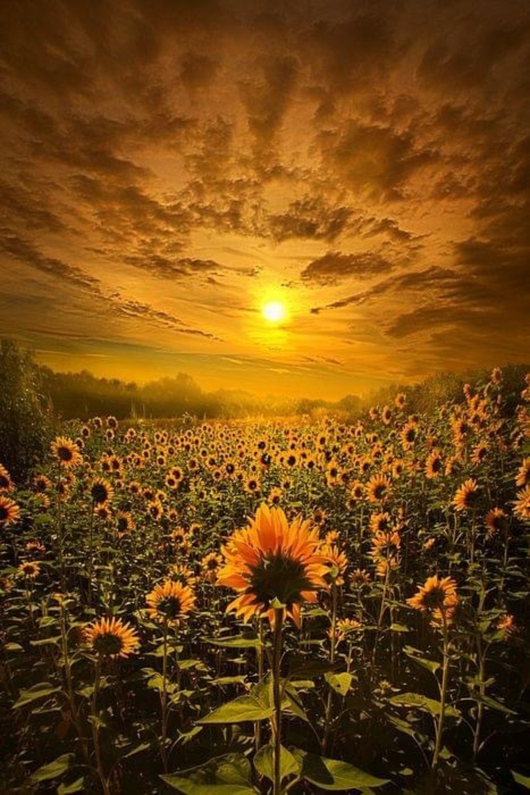 Sunny cover image