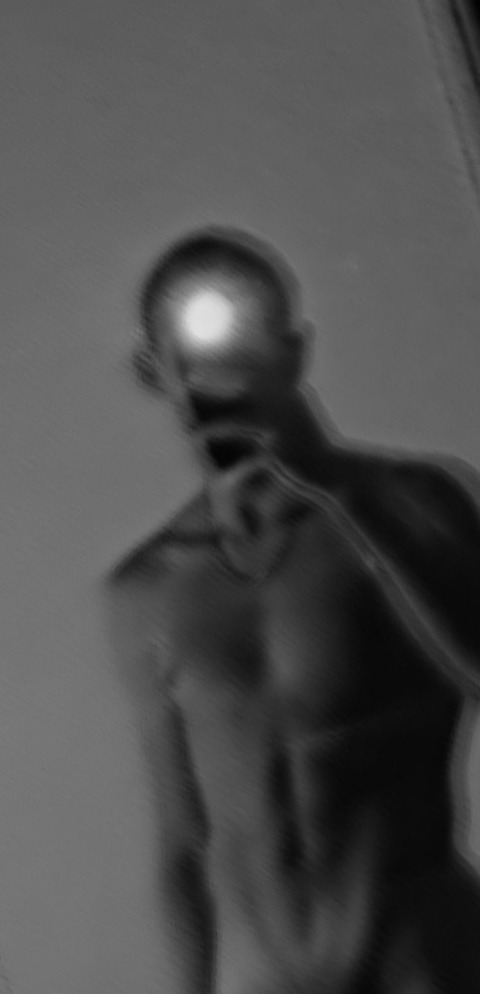 Shinso cover image