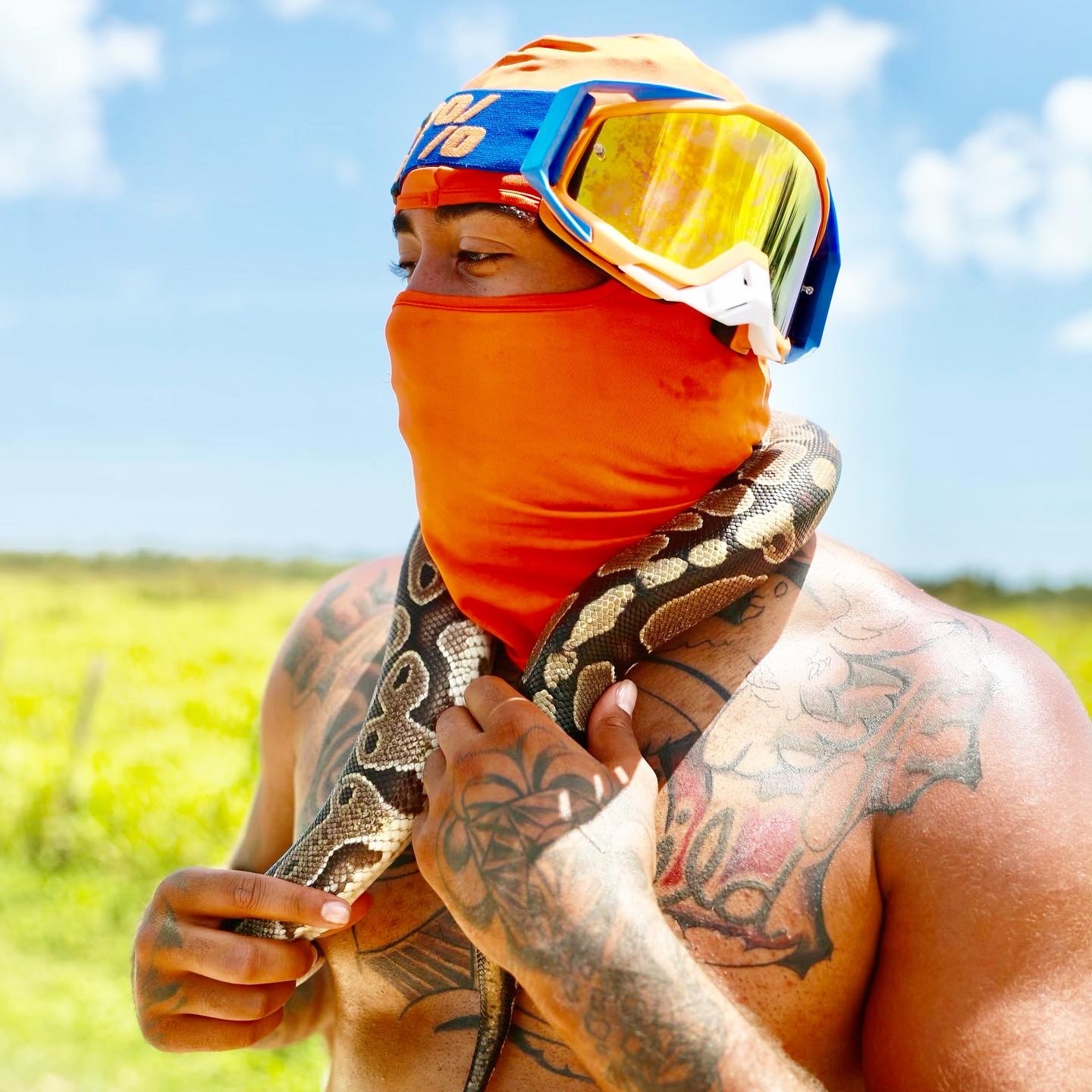 A1 banner image