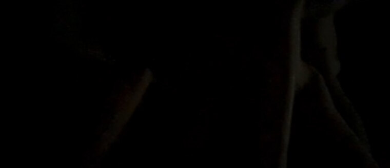 Lizzie banner image