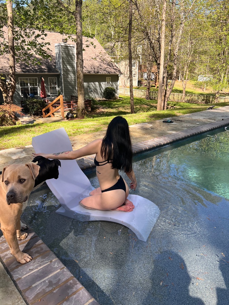 ambss cover image