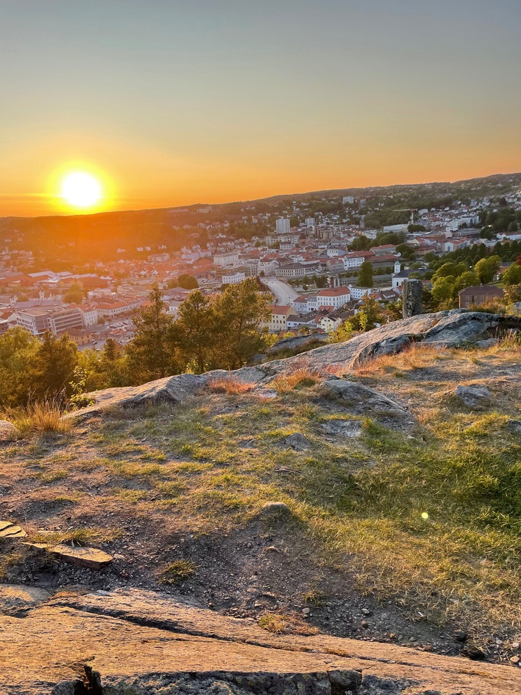 Aleksi cover image