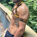 Aaron Cruz avatar