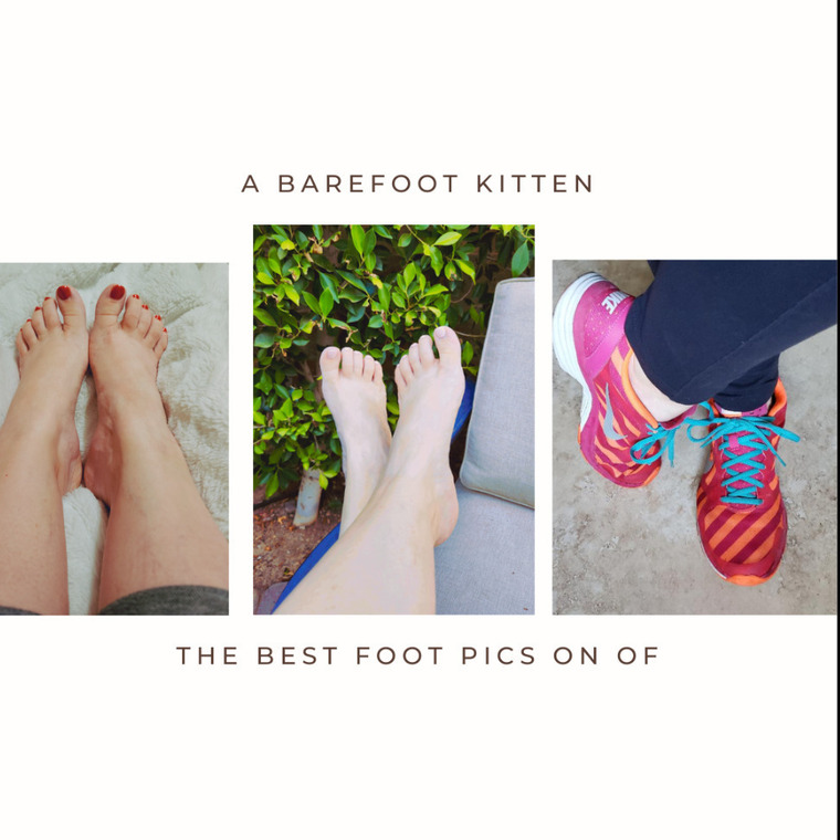 A Barefoot Kitten cover image