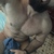Abbadon600 avatar