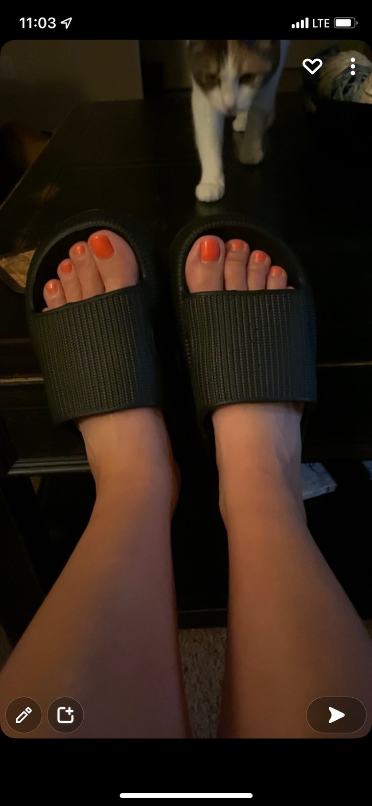 AbbyDawn cover image