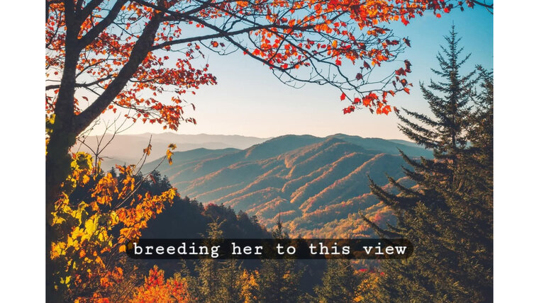 AbbyJay cover image
