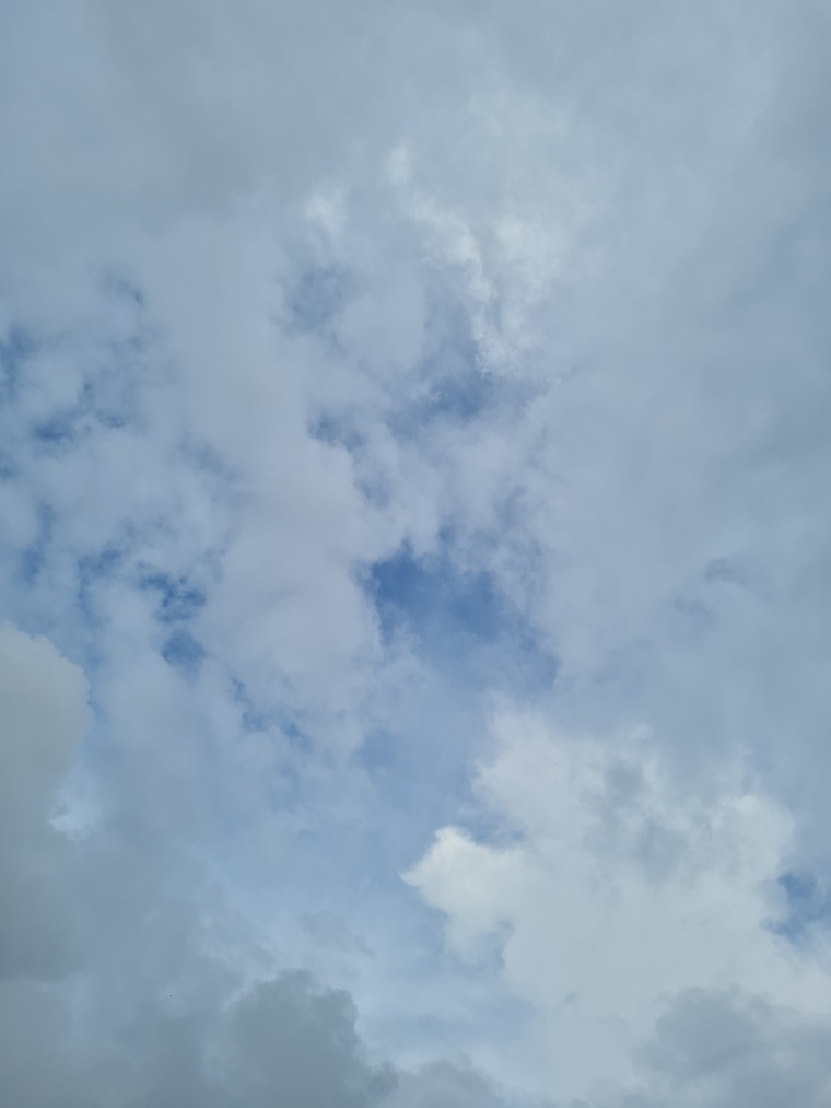 1234567 cover image