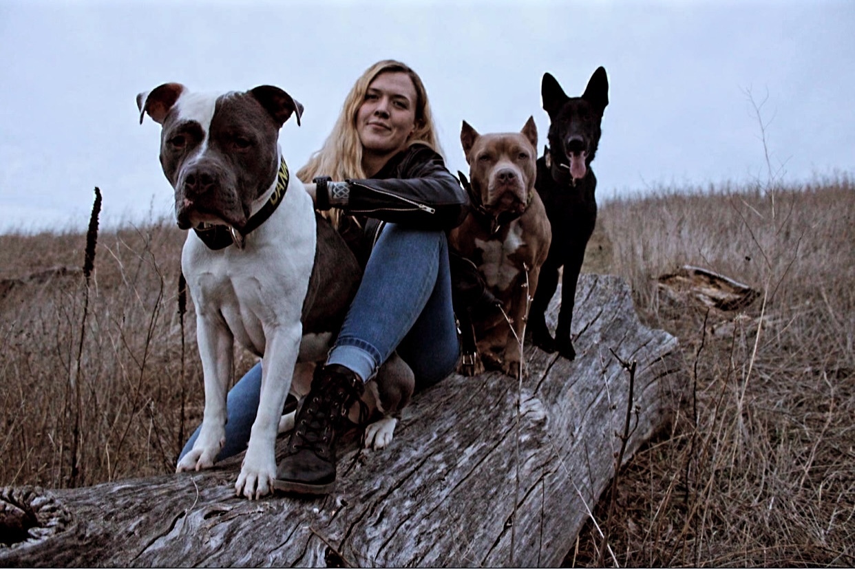 Sarah banner image