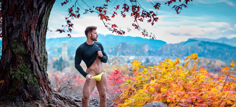 about_the_bulge banner image