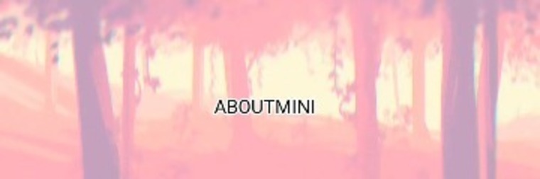 AboutMiinii cover image