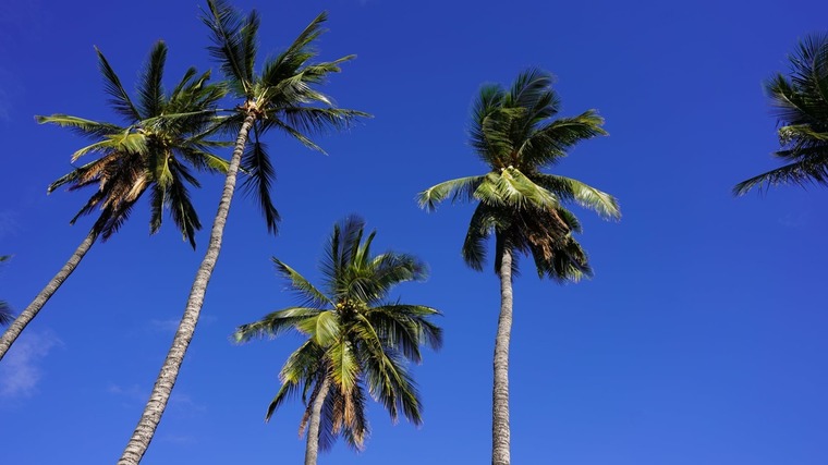 Brazilianman banner image