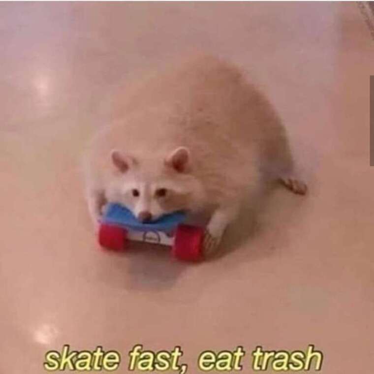 Absi banner image