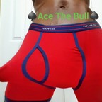 Ace The Bull avatar