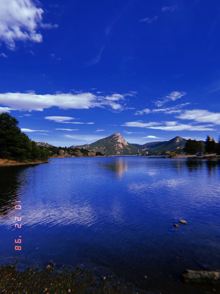 Allie cover image
