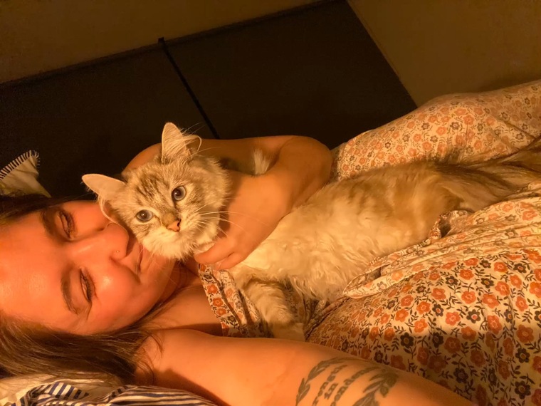A curvy girl and her cats cover image