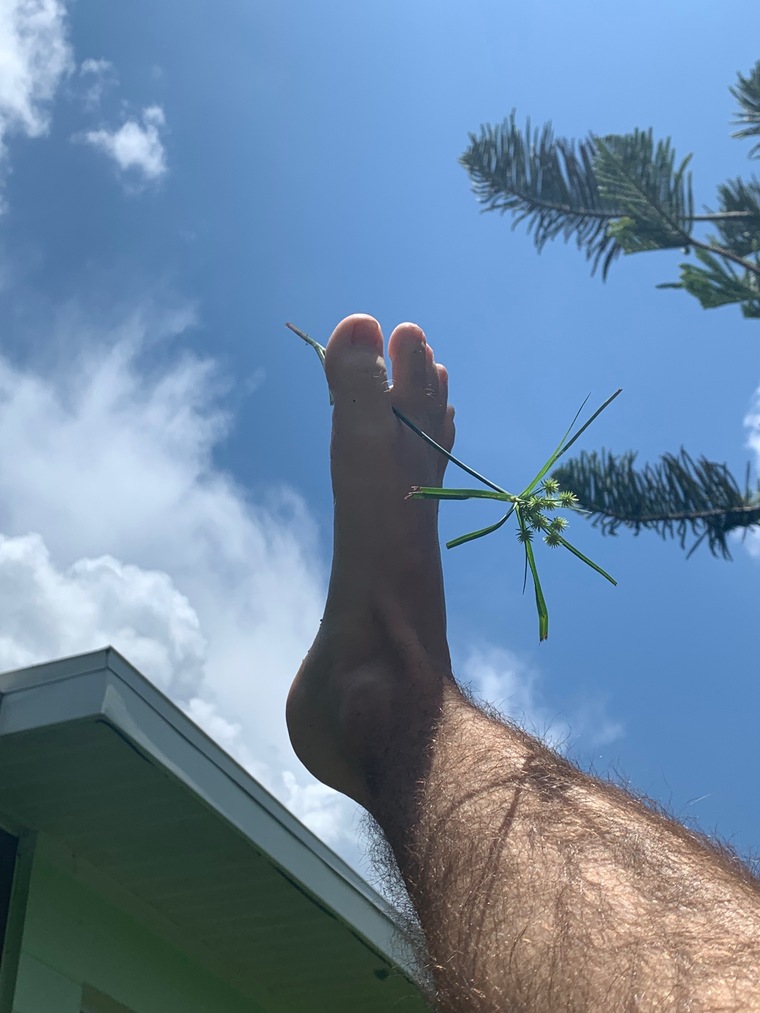 Adam2.0 banner image