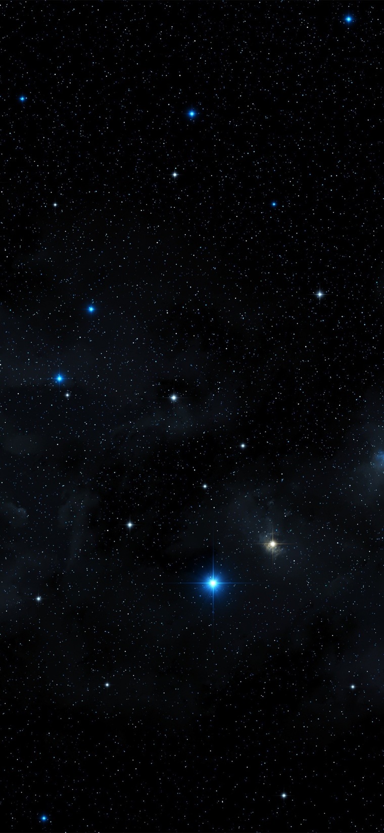 Adam banner image