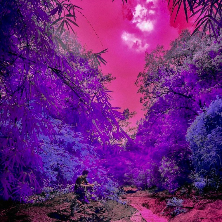Adams Adam cover image