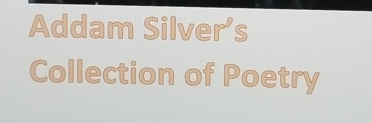 Addam Sliver banner image