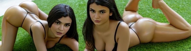 Adela Guerra cover image