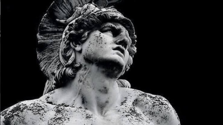 Adonis banner image