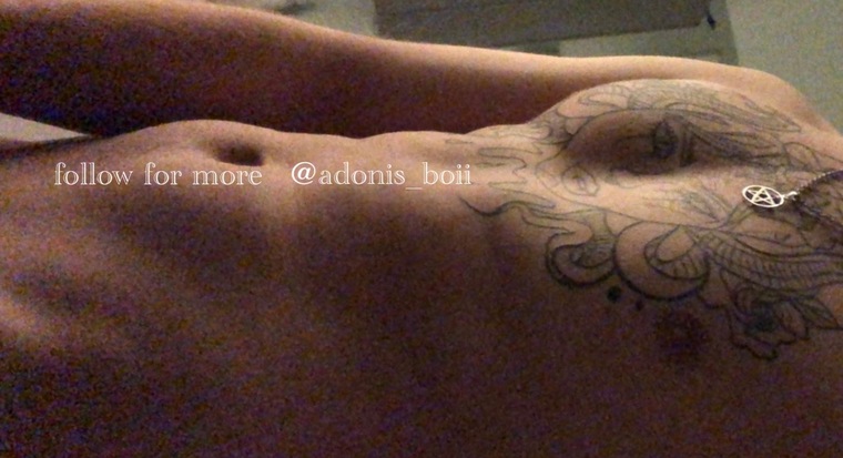 Adonis boii cover image