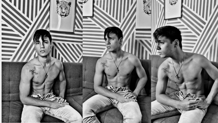 Adonis jordano banner image