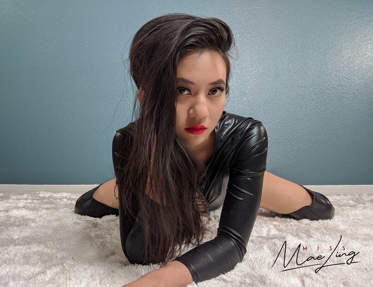 Circus Domme cover image