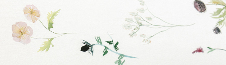 Adore Floral banner image