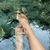 Feet Desire avatar