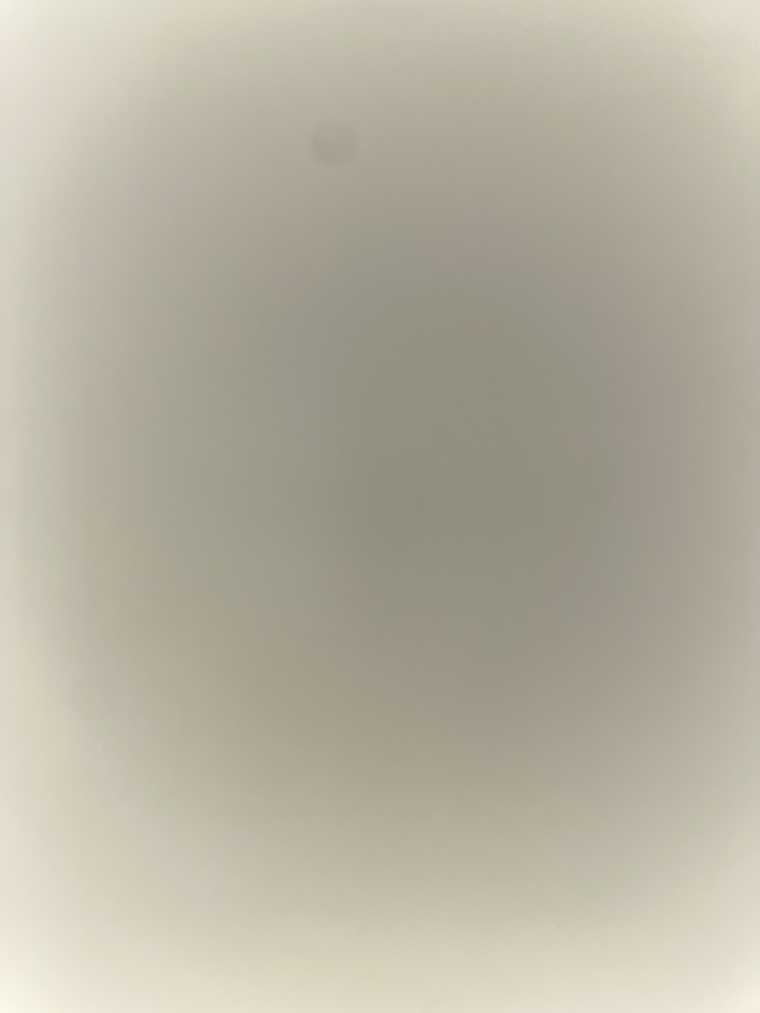 Adrianna Rose cover image