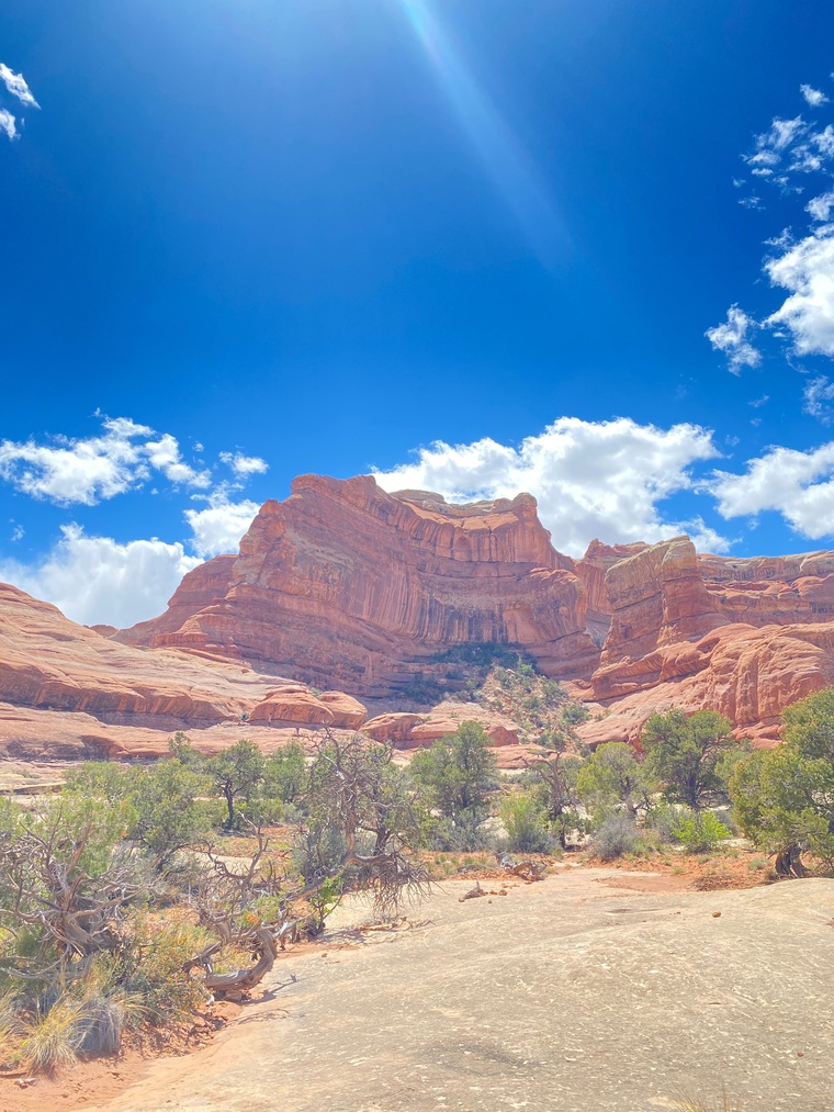 Adventure Soles banner image