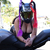 AdventurKat avatar